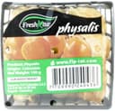 Physalis